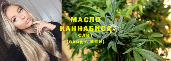 шишки Няндома