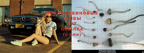 шишки Абдулино