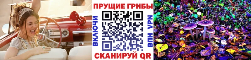дарнет шоп  Щёкино  Галлюциногенные грибы мицелий 