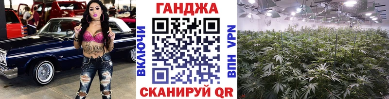 Каннабис планчик Щёкино